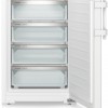Liebherr FD 1404-20 - Vriezer tafelmodel - 85x55x61 cm - Nee - 107 l